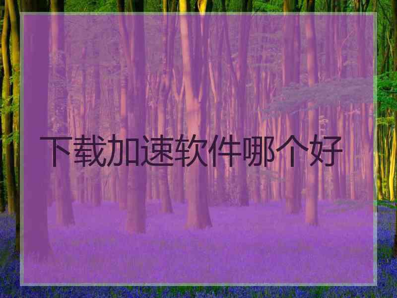 下载加速软件哪个好