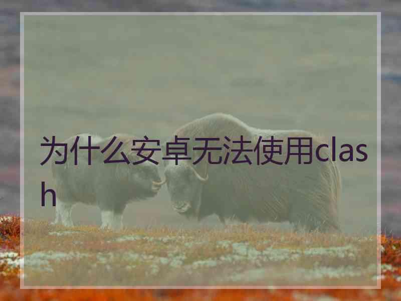 为什么安卓无法使用clash