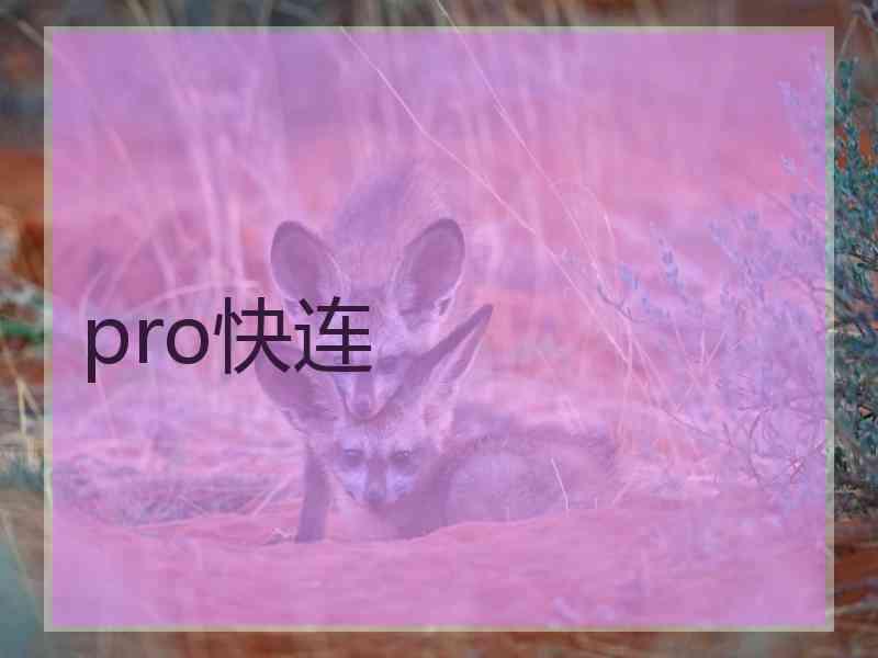 pro快连