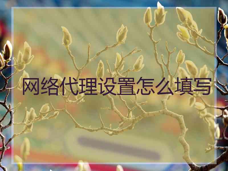 网络代理设置怎么填写