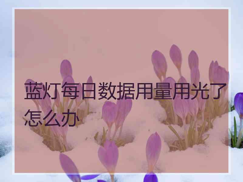 蓝灯每日数据用量用光了怎么办