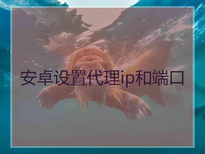 安卓设置代理ip和端口