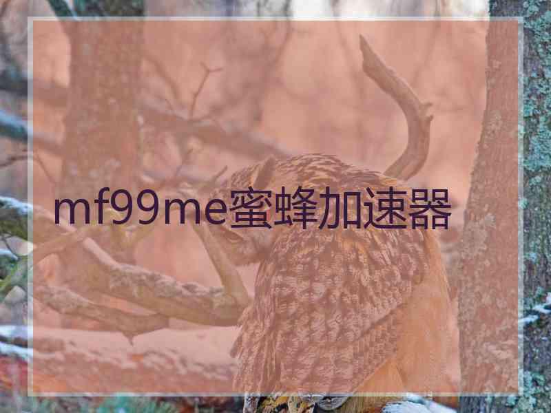 mf99me蜜蜂加速器