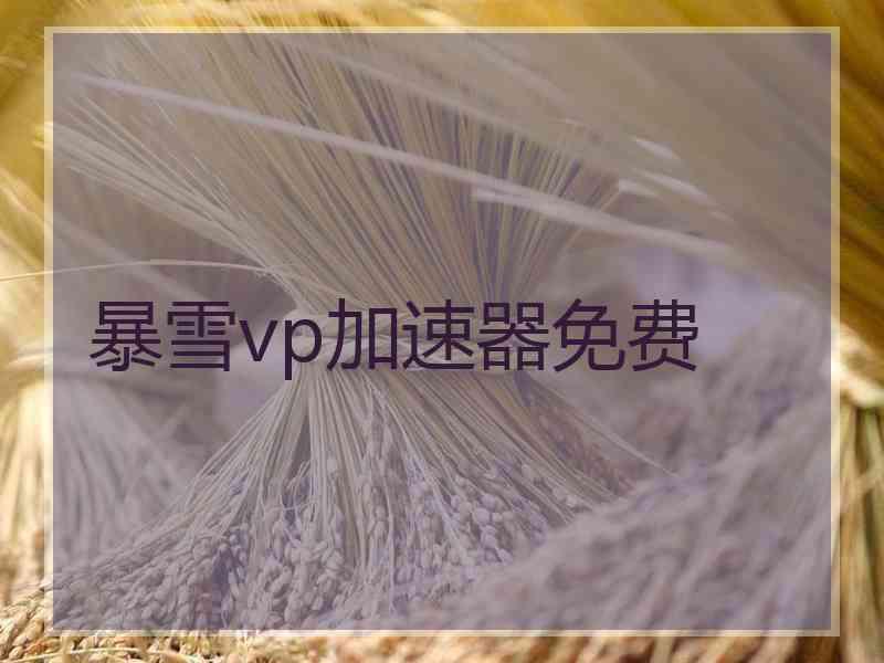 暴雪vp加速器免费