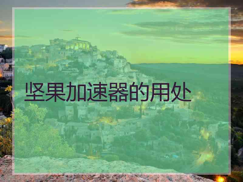 坚果加速器的用处