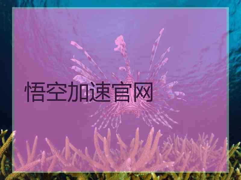 悟空加速官网