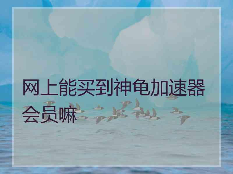 网上能买到神龟加速器会员嘛