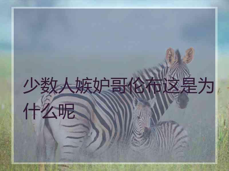 少数人嫉妒哥伦布这是为什么呢