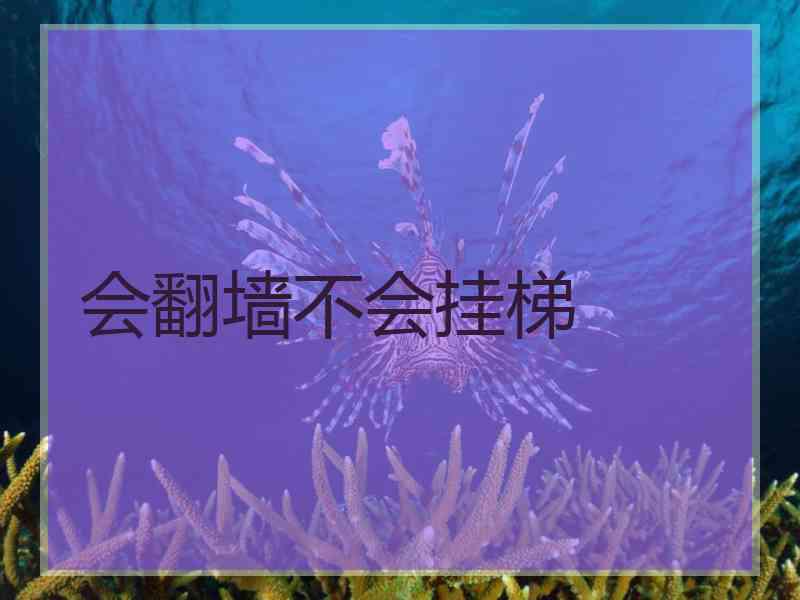 会翻墙不会挂梯