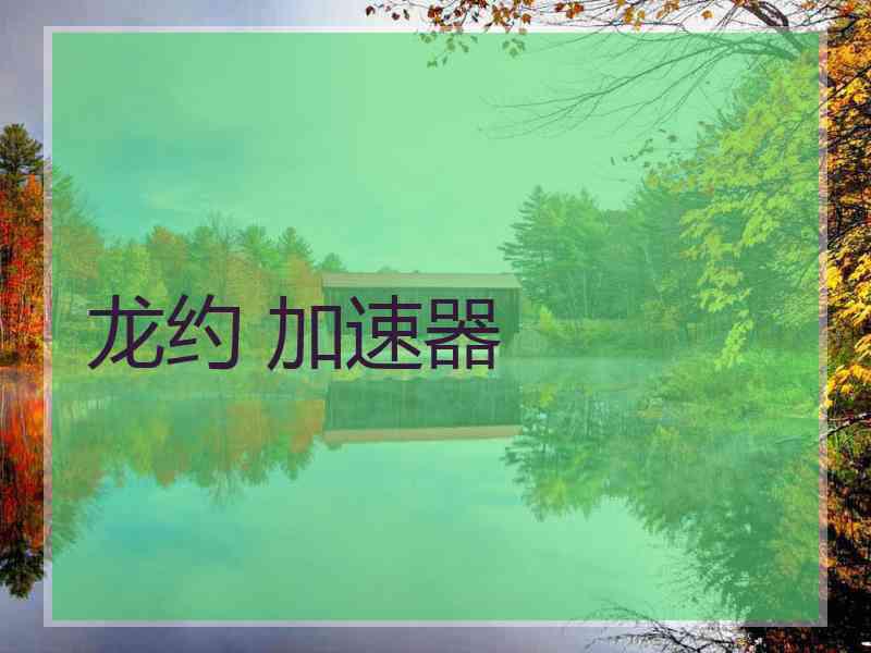 龙约 加速器