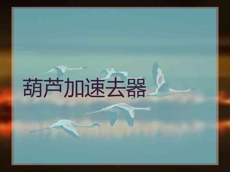 葫芦加速去器