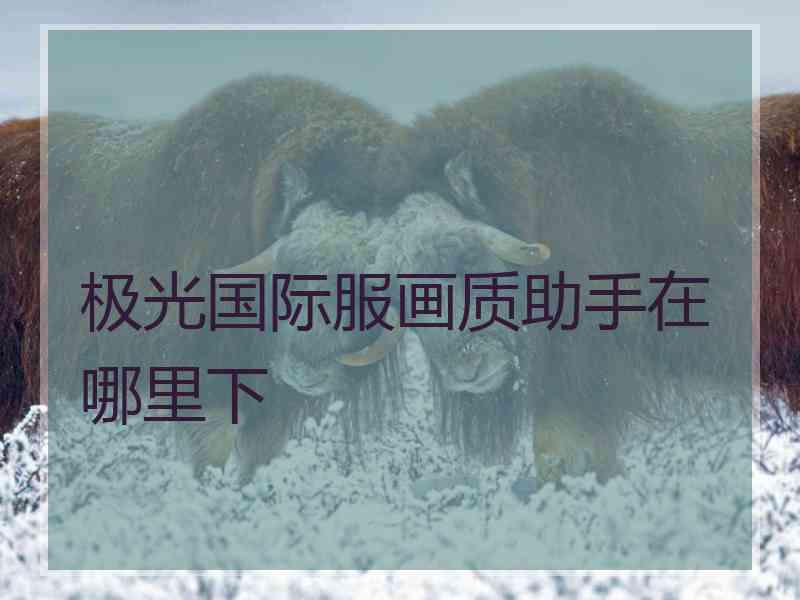 极光国际服画质助手在哪里下