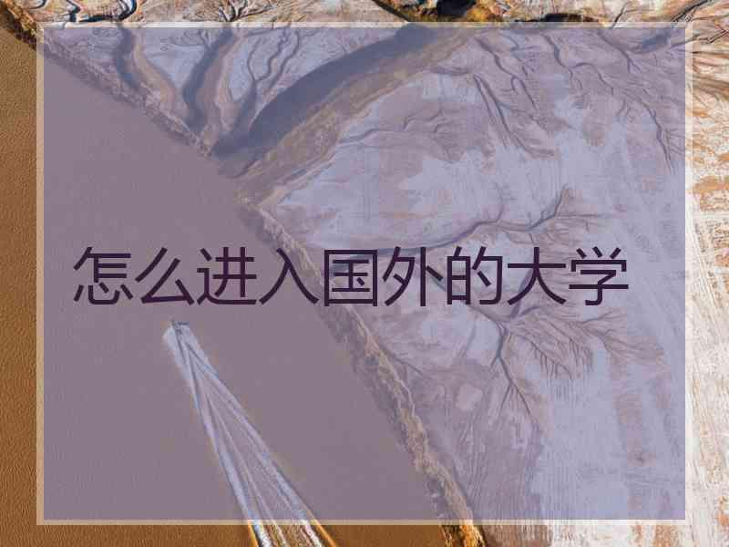怎么进入国外的大学