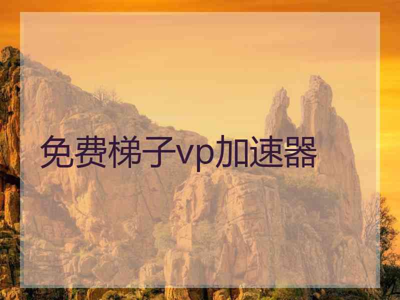 免费梯子vp加速器