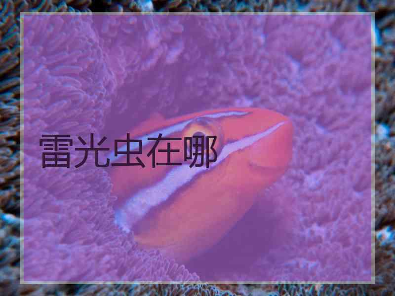 雷光虫在哪