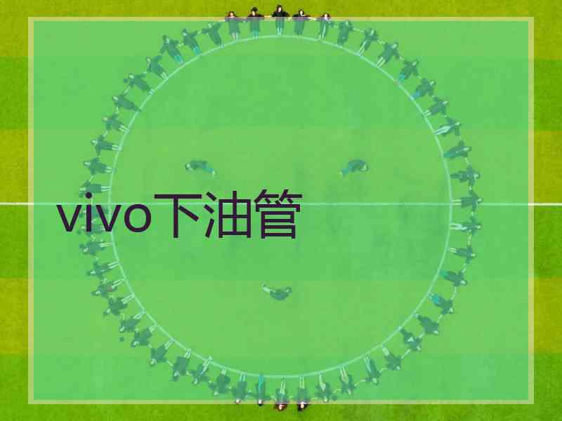 vivo下油管