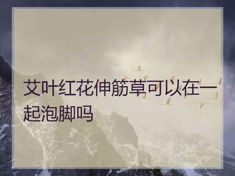 艾叶红花伸筋草可以在一起泡脚吗