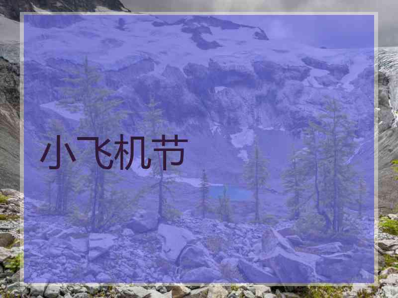 小飞机节