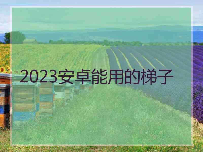 2023安卓能用的梯子