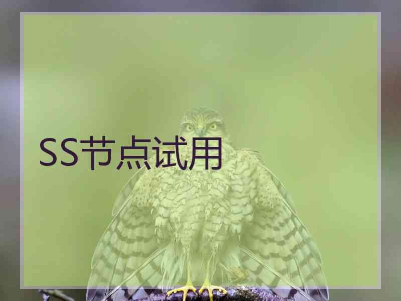SS节点试用
