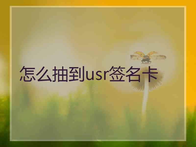 怎么抽到usr签名卡