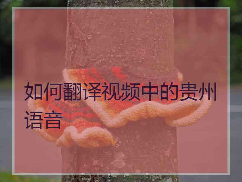 如何翻译视频中的贵州语音
