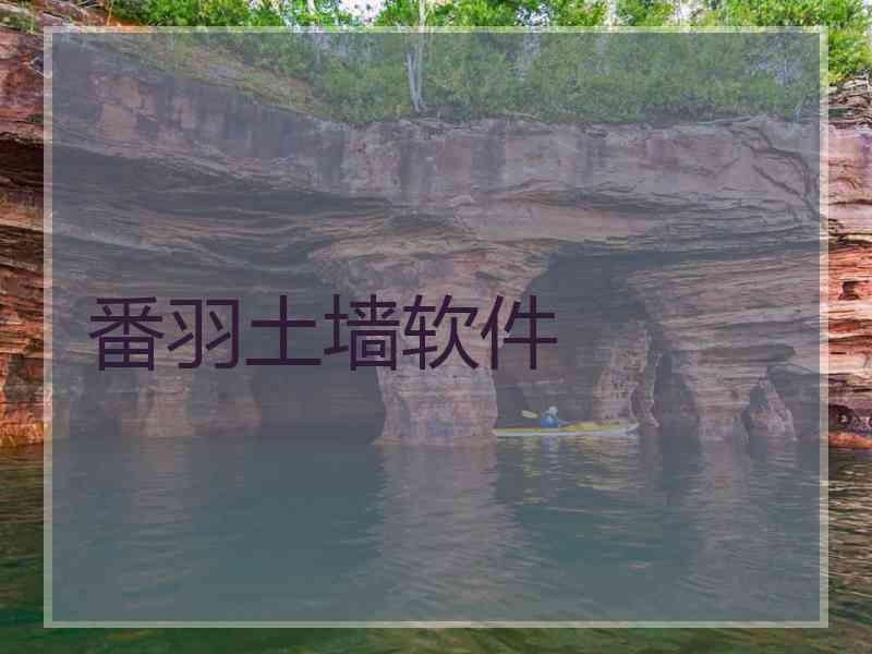 番羽土墙软件