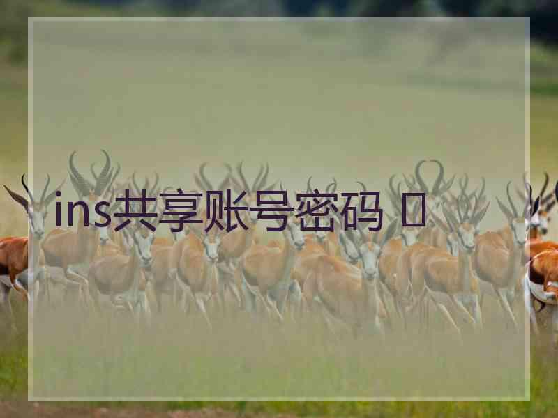 ins共享账号密码 	