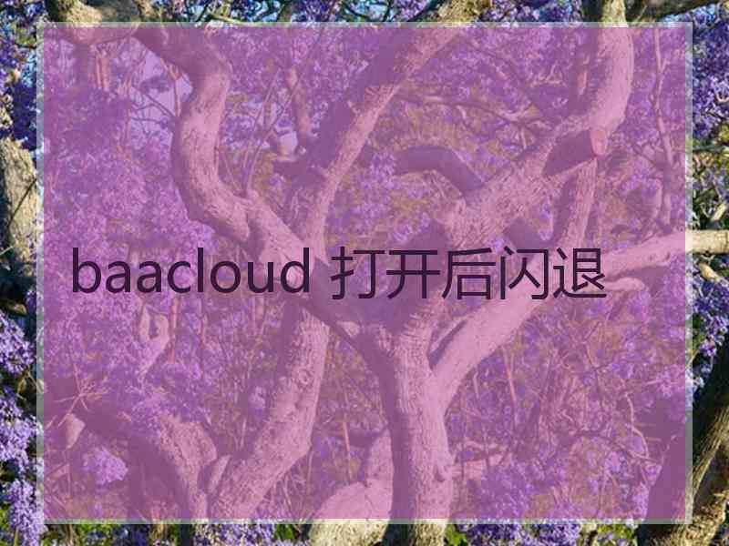 baacloud 打开后闪退