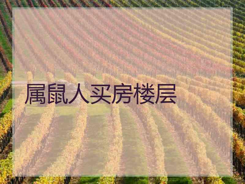 属鼠人买房楼层