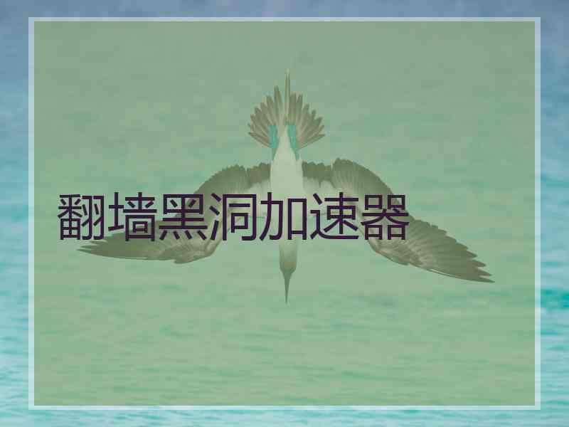 翻墙黑洞加速器