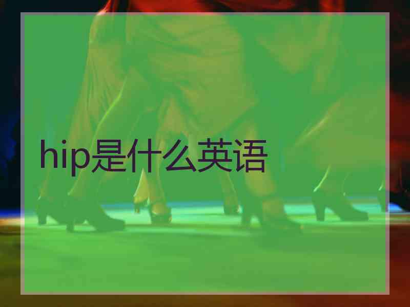 hip是什么英语