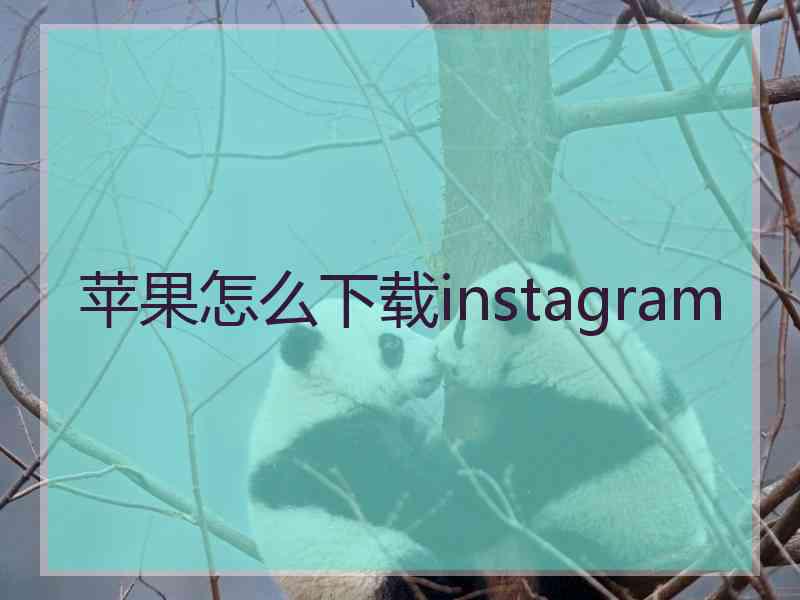 苹果怎么下载instagram