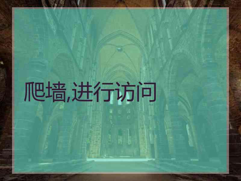 爬墙,进行访问