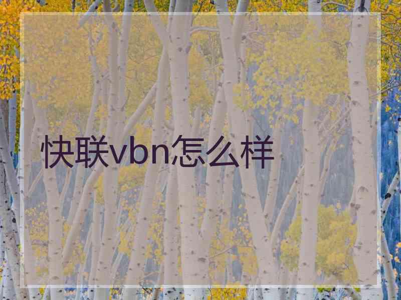 快联vbn怎么样