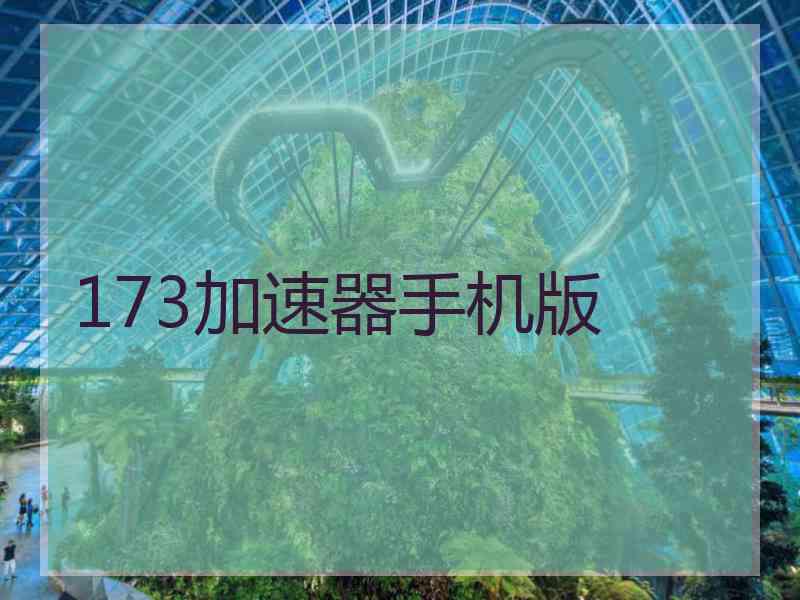 173加速器手机版