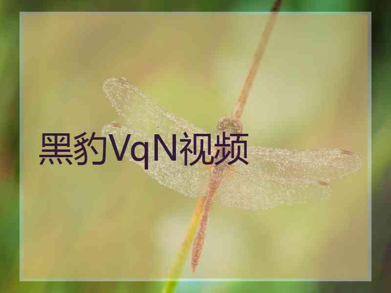 黑豹VqN视频
