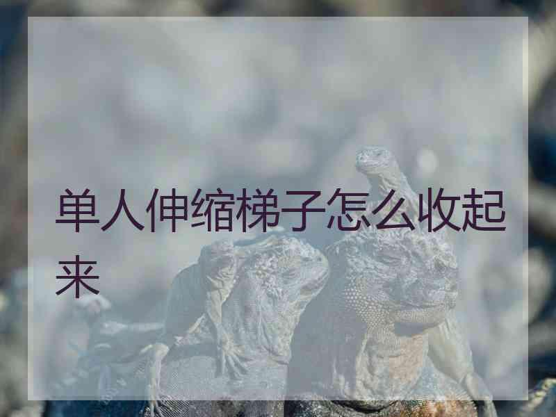 单人伸缩梯子怎么收起来