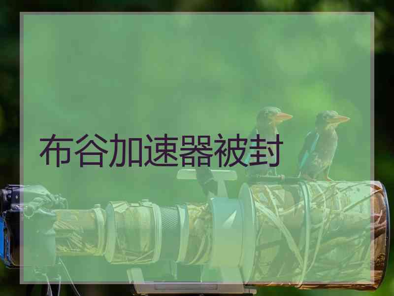 布谷加速器被封