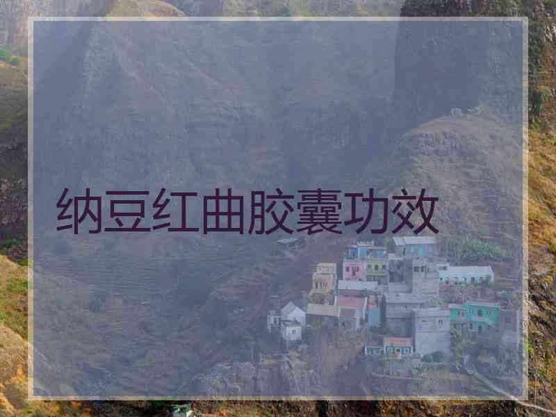 纳豆红曲胶囊功效