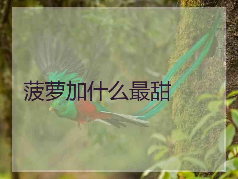 菠萝加什么最甜