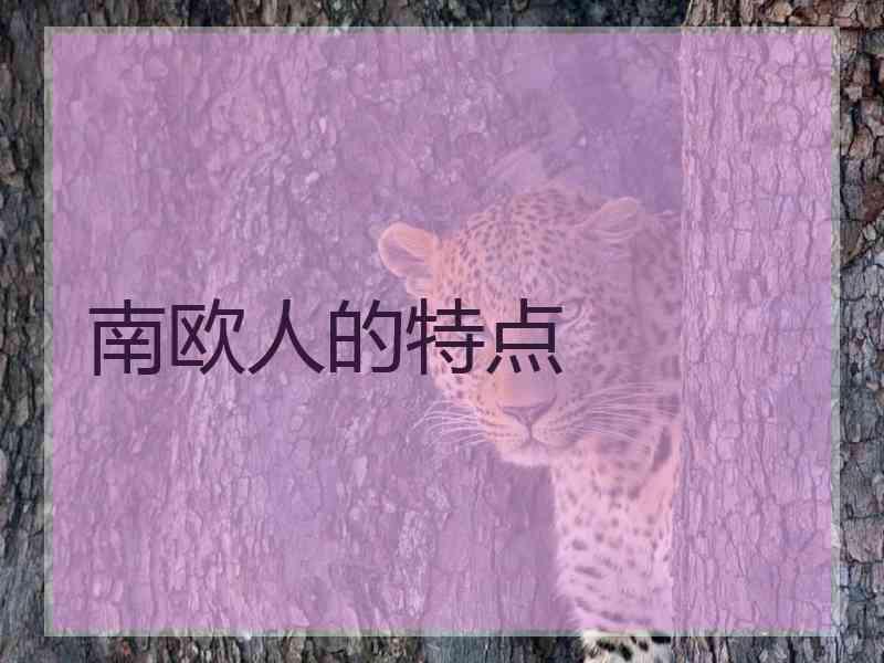 南欧人的特点