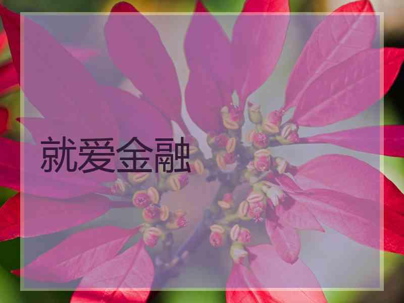 就爱金融