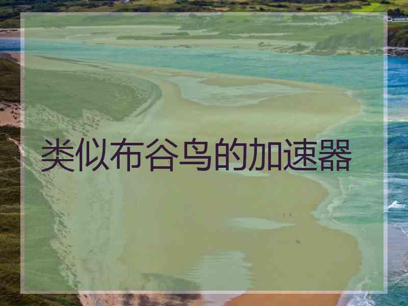 类似布谷鸟的加速器