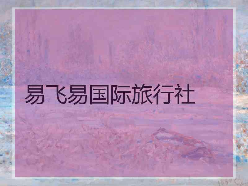易飞易国际旅行社