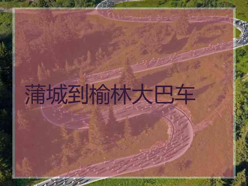 蒲城到榆林大巴车