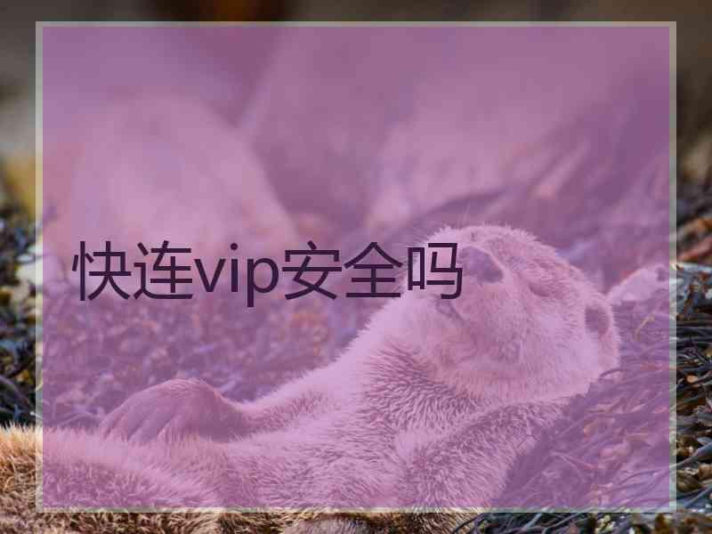 快连vip安全吗