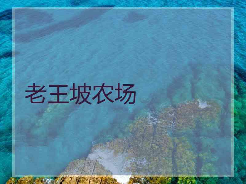 老王坡农场