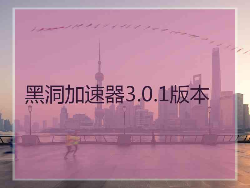 黑洞加速器3.0.1版本