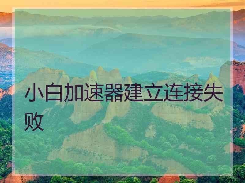 小白加速器建立连接失败